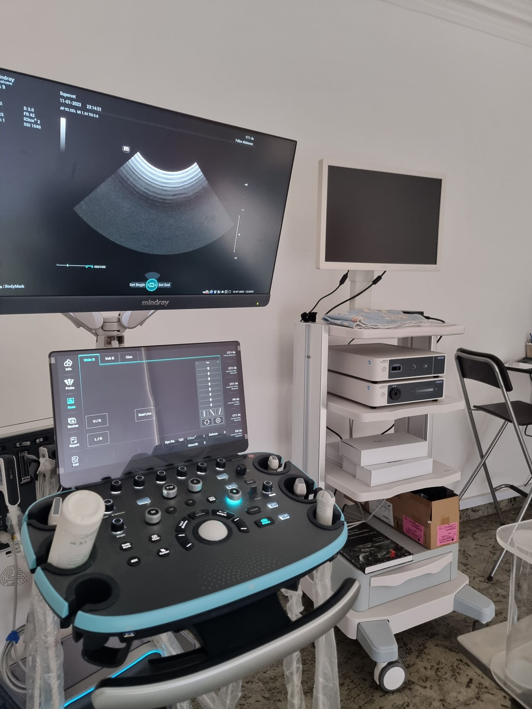Diagnostic ultrasound suite with dual monitors
